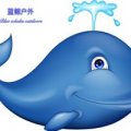 海边直播开始了