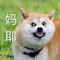 不许叫我傻狍子