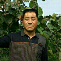 大神kor的鱼吧