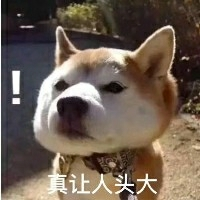不可一世舔狗