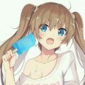 274520520