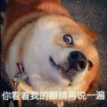 懵逼的我say