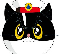 机智的老猫