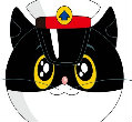 机智的老猫