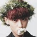 XKinG7Koreyoshi
