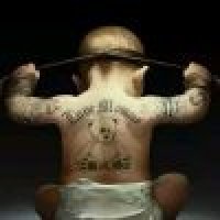 潇潇洒洒的过每一天