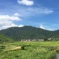 忧伤丿旋律