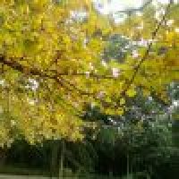 无聊吗我心疼了