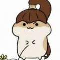 萝卜王子mm