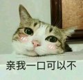 拥有鱼鱼