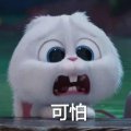 正义lllll