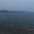 沃尔德wy