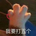 beimingZ丶