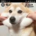 东东咚咚咚咚咚咚