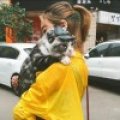 网瘾少年丶后羿
