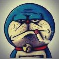 猪都笑了33