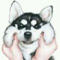 主播是食屎