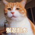 一双温暖的棉鞋