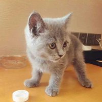 韩国以前一个组合成员 亚由美