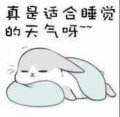 淡蓝色哀愁