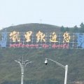 落楓z醉雨