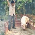啊西吧111