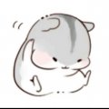 小赖赖44