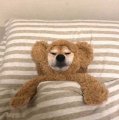 是不是拉不住