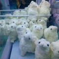 吃个东西吧