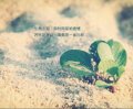 爱跳伞的盒子
