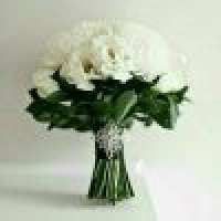 橙子柚子橘子66