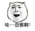 劲猴啊