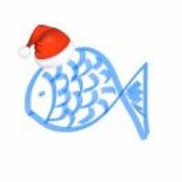 有多少mmp可以重讲