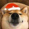 丶肆拾柒