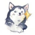 静静的kbc