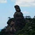 繁花似锦等缘人