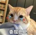 口是心扉