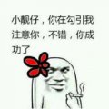大坏蛋飞彳