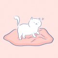你的猫er