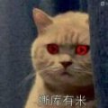太二実写