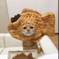 猪精女孩佩奇22551