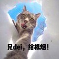JackCheung59806