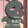 DM电竞丶RoarMonica