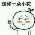重庆小盼