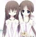 焦糖萌琪朵