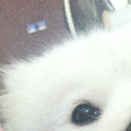 Hello_Tse