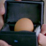 我是你鑫哥啊啊