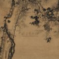 win湮灭