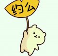 皎月追风