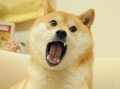 ID太长容易被人发现